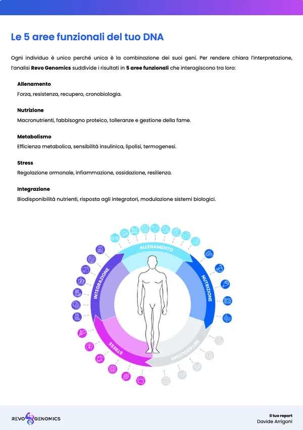 Pagina del report: le cinque aree funzionali del DNA